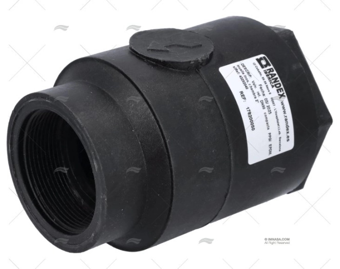 VALVULA DE RETENCION BSP PPG 2" RANDEX IBERICA - Imagen 2